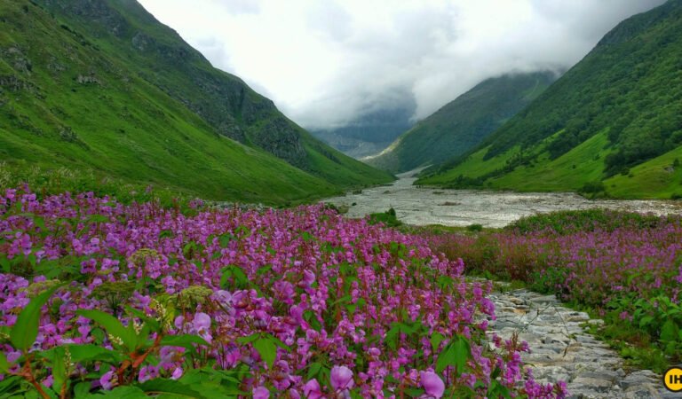 Valley of flowers Guide 2021
