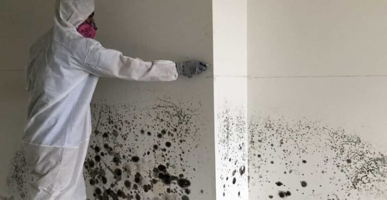 Long Island Mold Remediation Removal