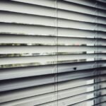 Window Blinds for 2022