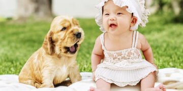 How to prepare your dog for a newborn baby?