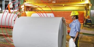 Asia Pulp & Paper