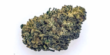 Delta-8 THC Flower