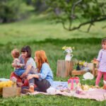 Planning A Picnic Party