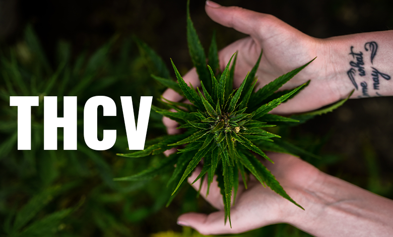 THCV