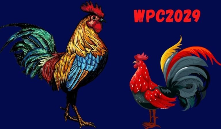 What You Know About WPC2029?