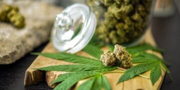 Fast Weed Delivery Ottawa