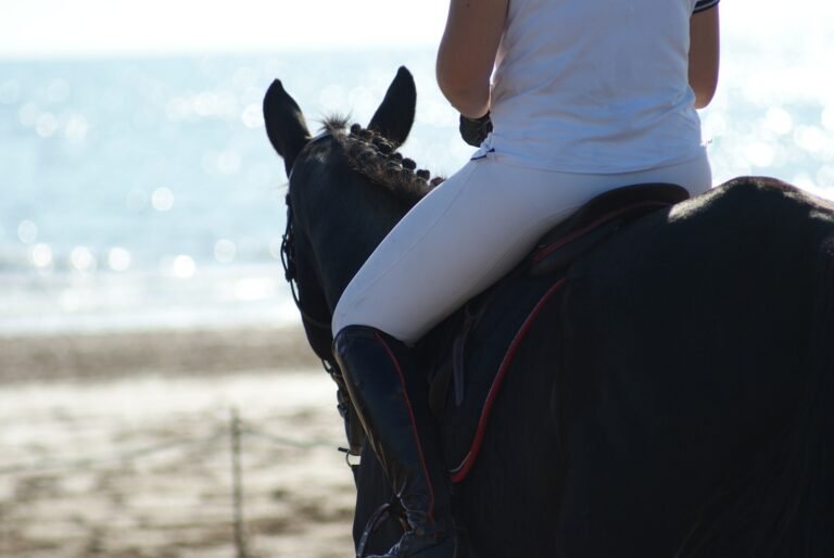 Horse Riding Breeches