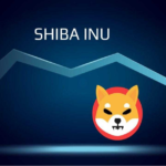 Shiba