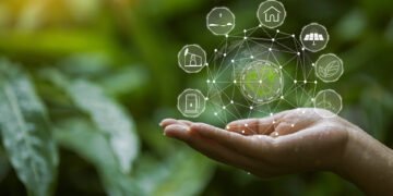 Carbon Offsets