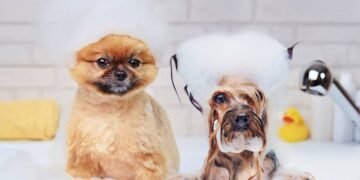 Puppy Shampoo