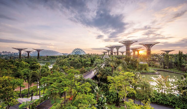 Why You Should Visit Singapore After Covid19