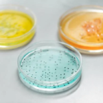 Microbial Testing