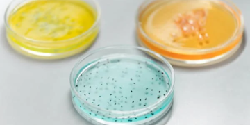 Microbial Testing
