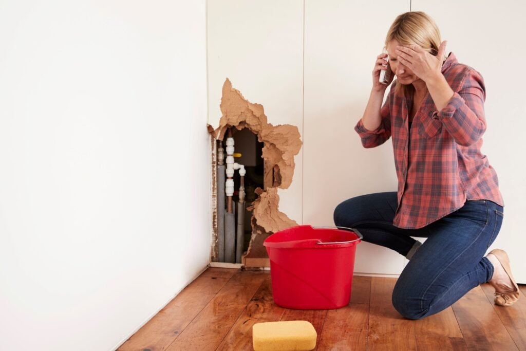 Water Damage Restoration Professionals