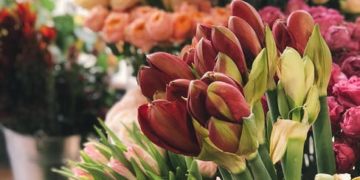 What Questions Should I Ask the Best Florist Before Buying Flowers