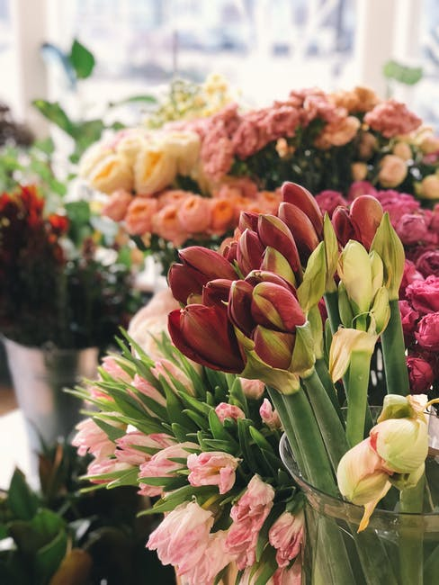What Questions Should I Ask the Best Florist Before Buying Flowers