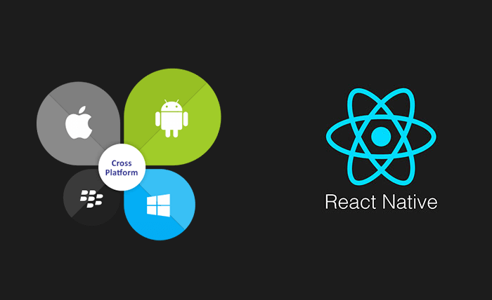 React Native and How Developers Use it?