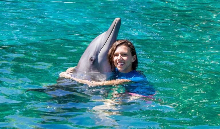 <strong></noscript>5 Things to Know Before You Swim with Dolphins</strong>