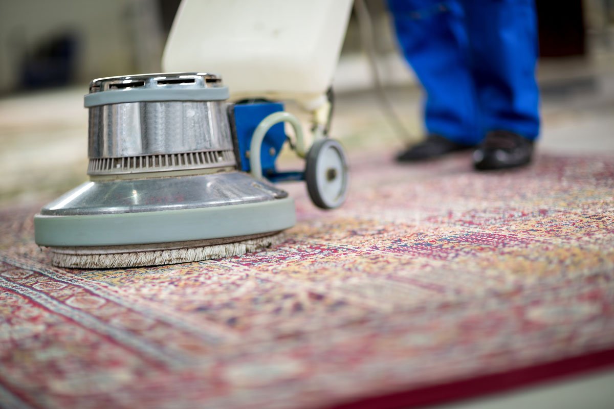 Defend Your Funding with Rug Cleansing Providers