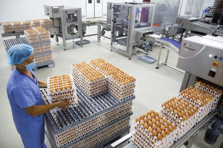 Egg Production Industry