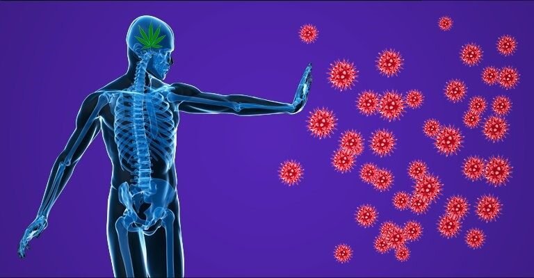 Battling Autoimmune Diseases: A Holistic Approach to Healing