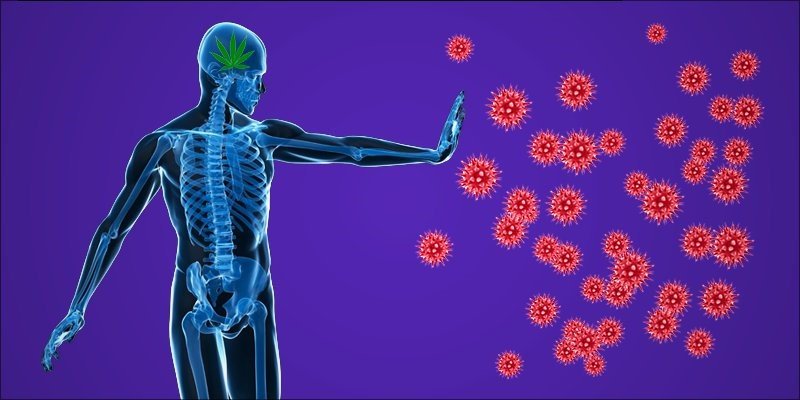 Autoimmune Diseases