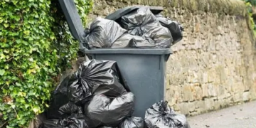 Junk Removal Service