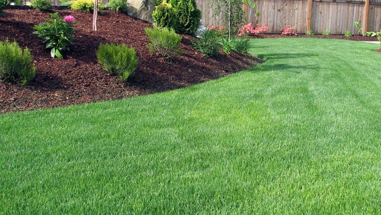 Landscaping Services