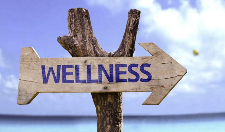 Wellness Beyond the Trend: Implementing Sustainable Strategies for a Healthier Life