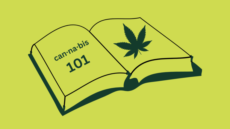 Cannabis Education