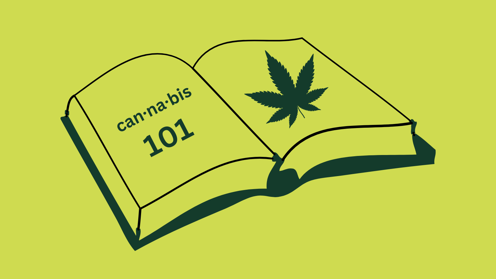 Cannabis Education: Dispelling Myths and Understanding Facts - Back ...