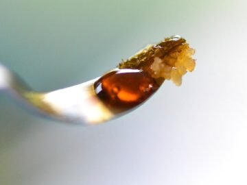 THC Concentrate