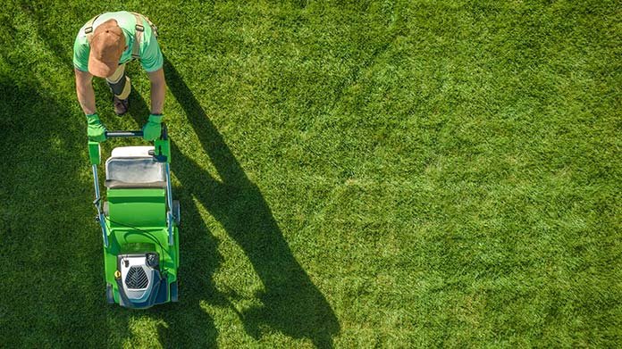 Mastering Yard Maintenance Business: Expert Tips for Success