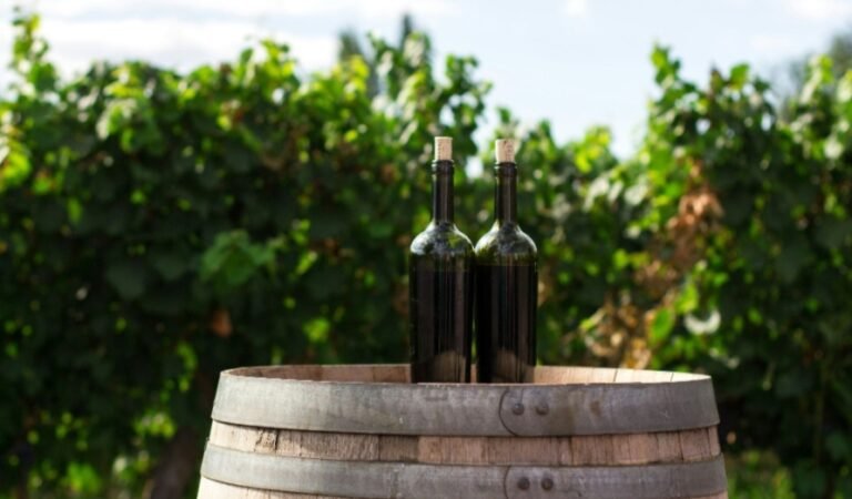 Marsala Wine: A Journey Through Sicily’s Rich Viticultural Heritage