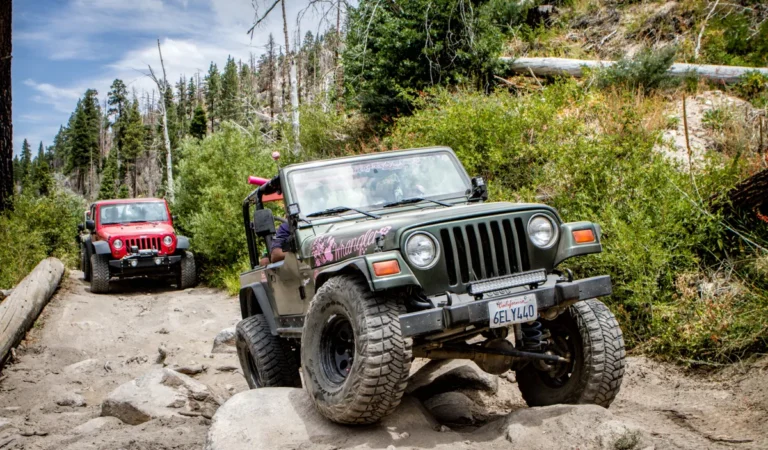 Off-Road Adventures: Discovering the Perfect Pre-Owned Jeep