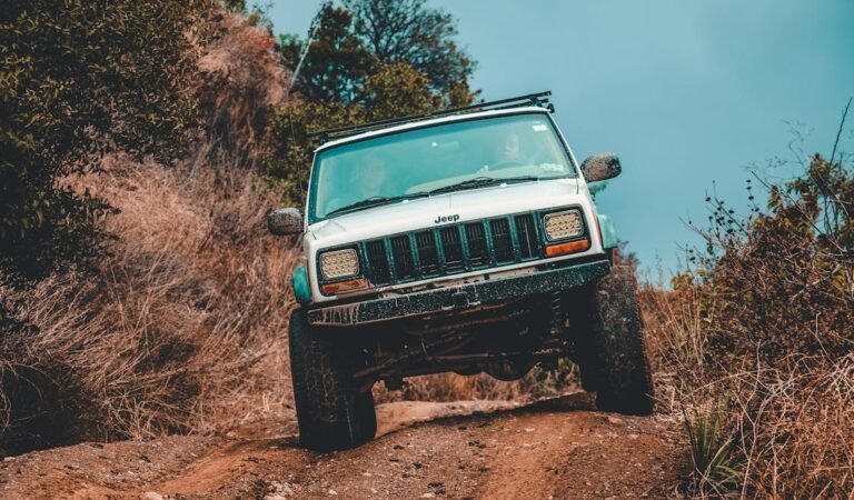 Lifting Your Off-Road Involvement: Investigating the Offerings of Autocraze