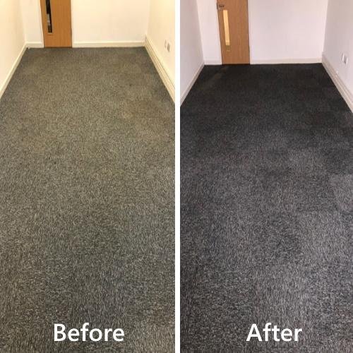 Professional Carpet Cleaner Service