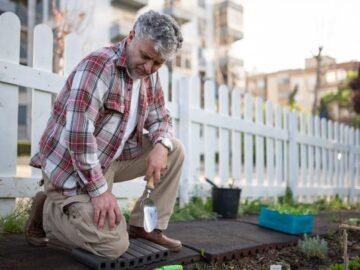 Eliminate Weeds from Your Lawn