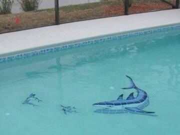 Pool With Shark-Themed