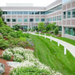 Commercial Landscaping