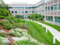 Commercial Landscaping