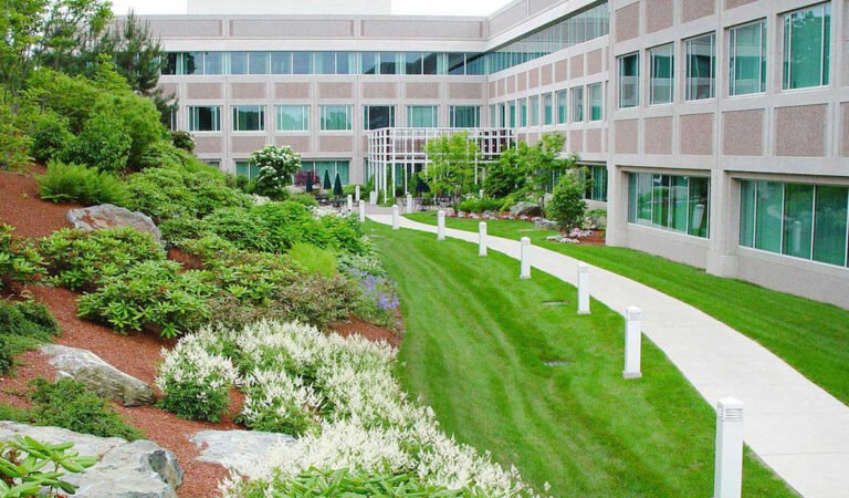 How to Reduce Water Consumption in Commercial Landscaping