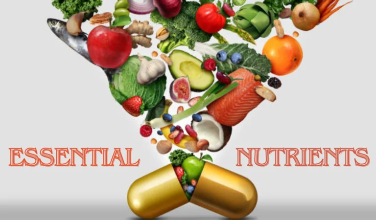 Unlock Your Full Potential with Essential Nutrients