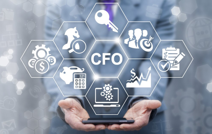 Virtual CFO Services