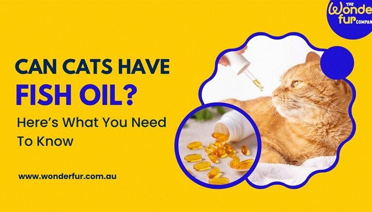 Can Cats Have Fish Oil? Here’s What You Need To Know