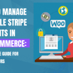 Manage Multiple Stripe Accounts in WooCommerce