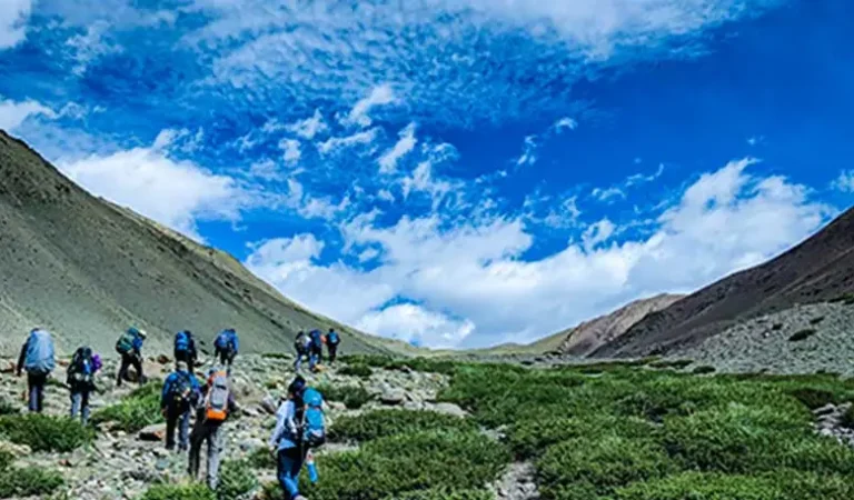 Trekking in Ladakh: A Journey Through the Land of High Passes