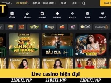 11bet