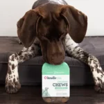 CBD Chews for Dogs