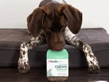 CBD Chews for Dogs